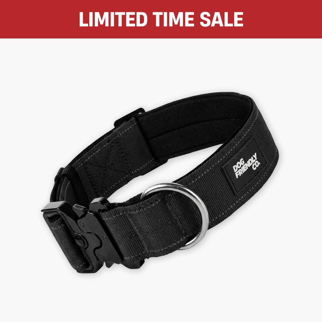 A black Dog Friendly Co. dog collar with a metal D-ring and buckle against a white background.