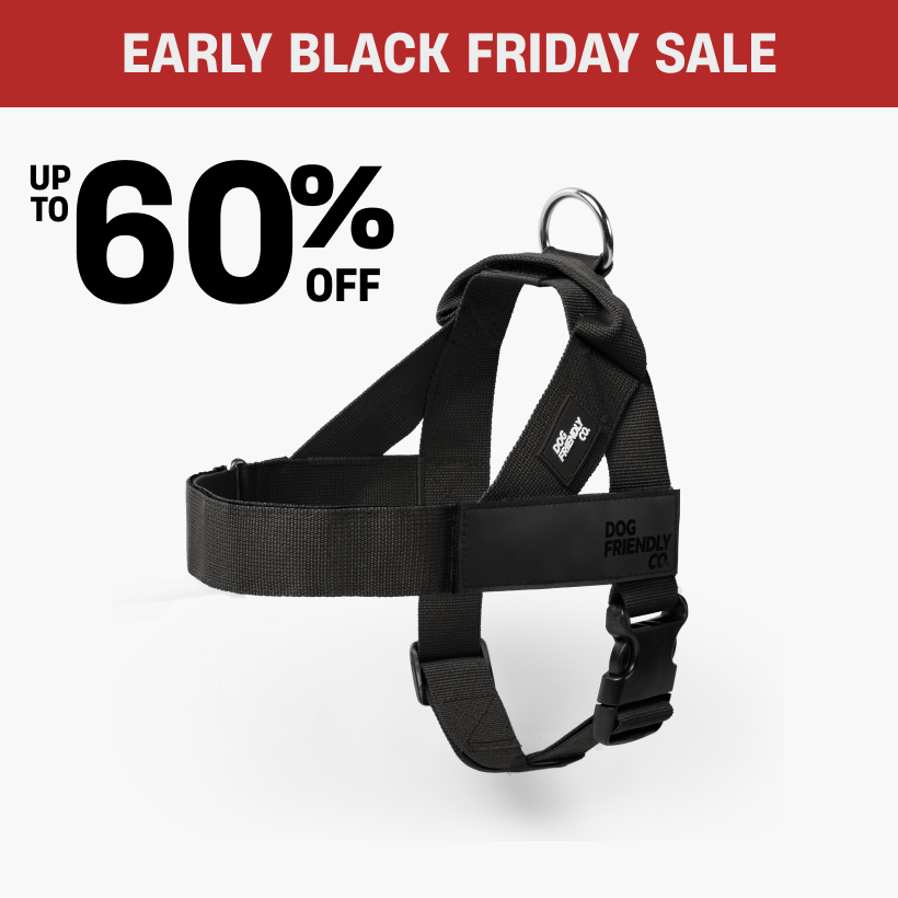 Black dog harness with sale text and discount offer.