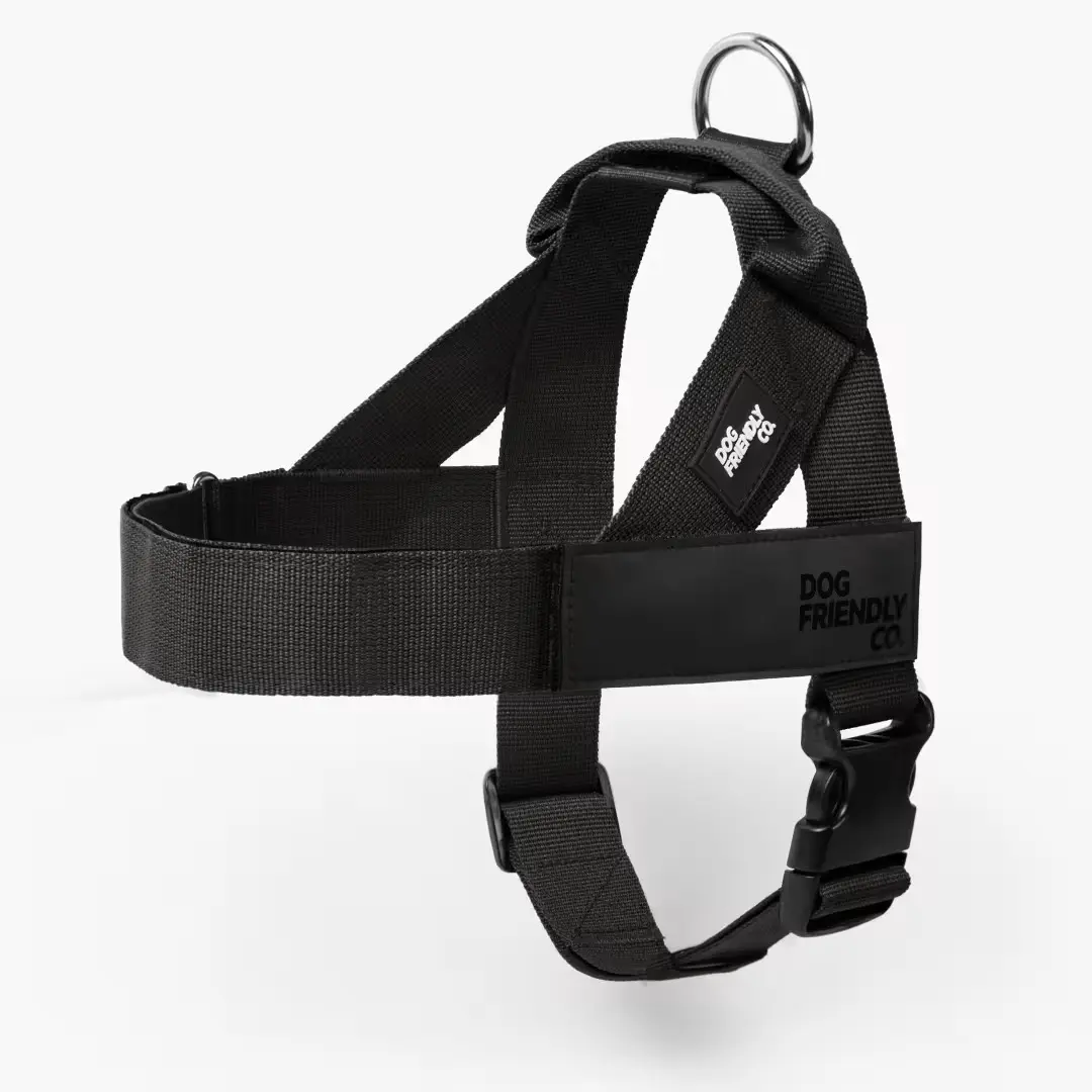 Black dog harness with a metal ring and buckle, labeled 'Dog Friendly Co.'
