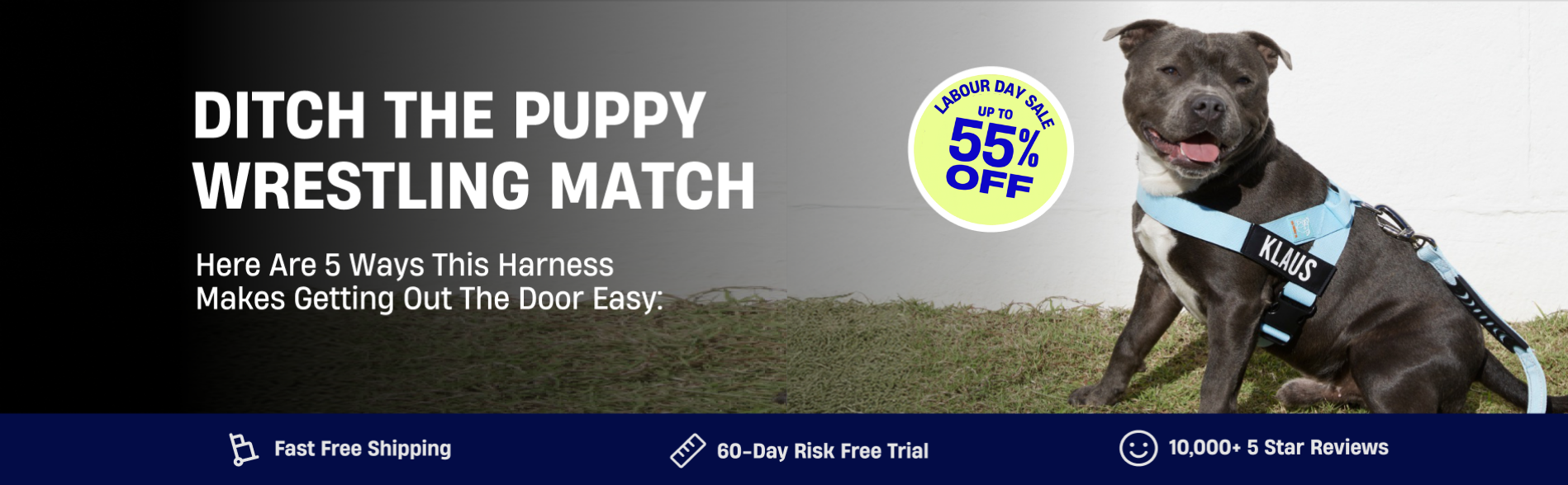 Dog wearing a harness with text about a promotion and convenience features.