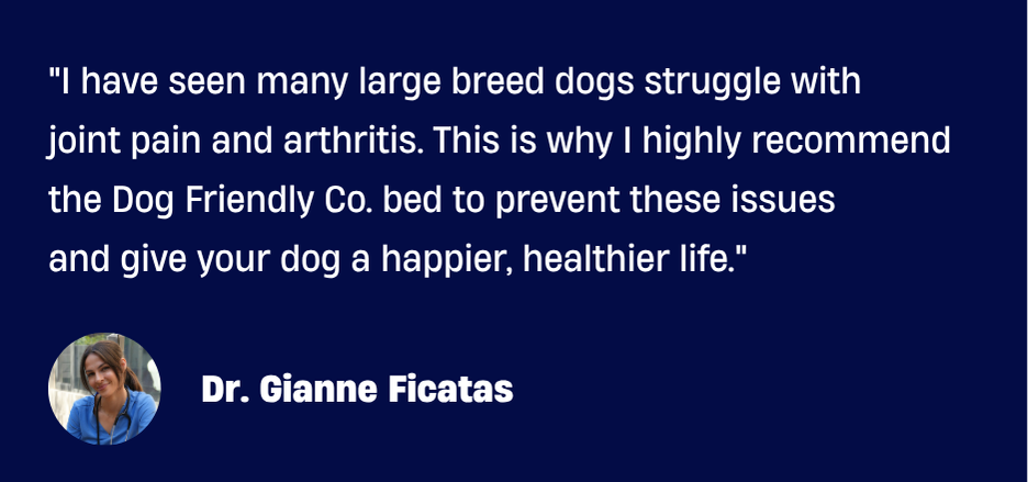 A testimonial from Dr. Gianne Ficatas recommending the Dog Friendly Co. bed for joint pain in dogs.