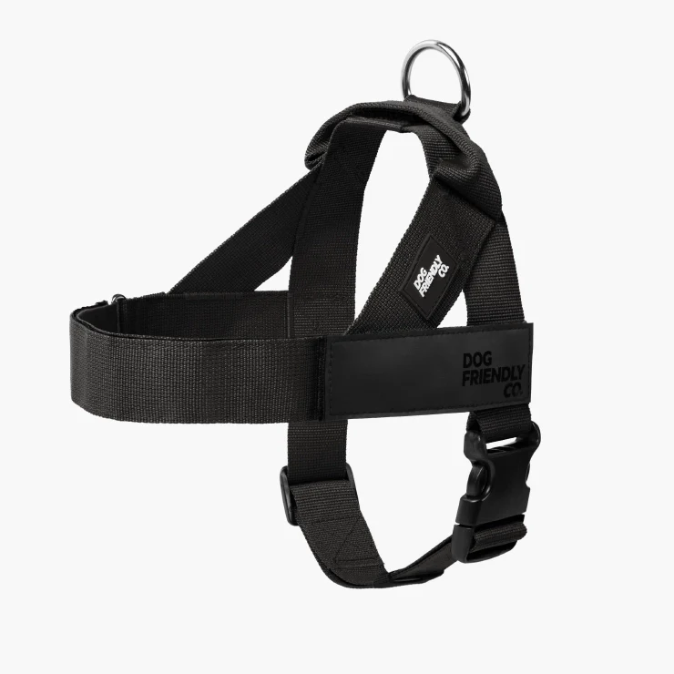 A black dog harness with adjustable straps, a buckle, and a metal D-ring on a plain background.