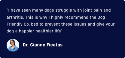 A testimonial from Dr. Gianne Ficatas recommending the Dog Friendly Co. bed for joint pain in dogs.
