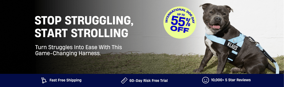 Dog wearing a blue harness sitting on grass next to promotional text.