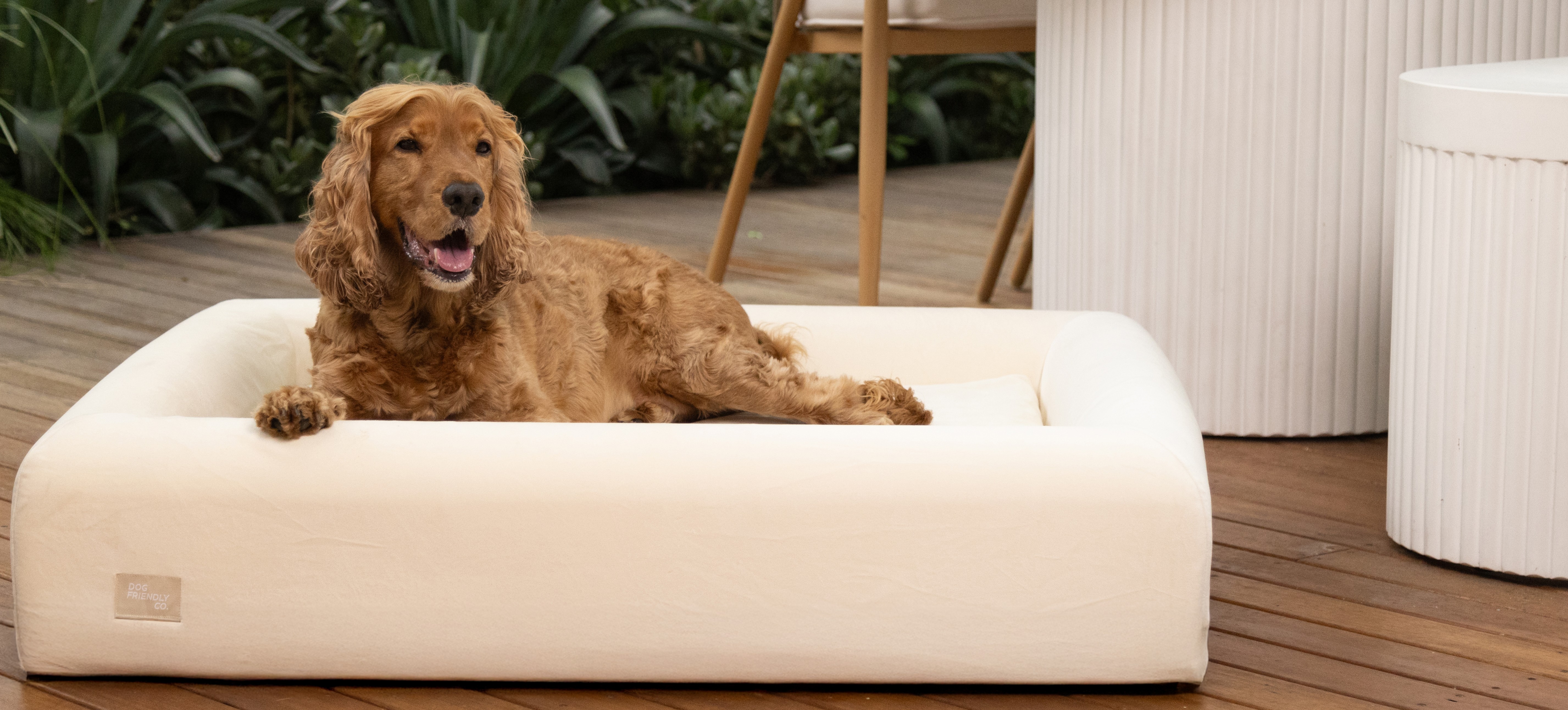 A brown dog lying on a white dog bed on a wooden deck.