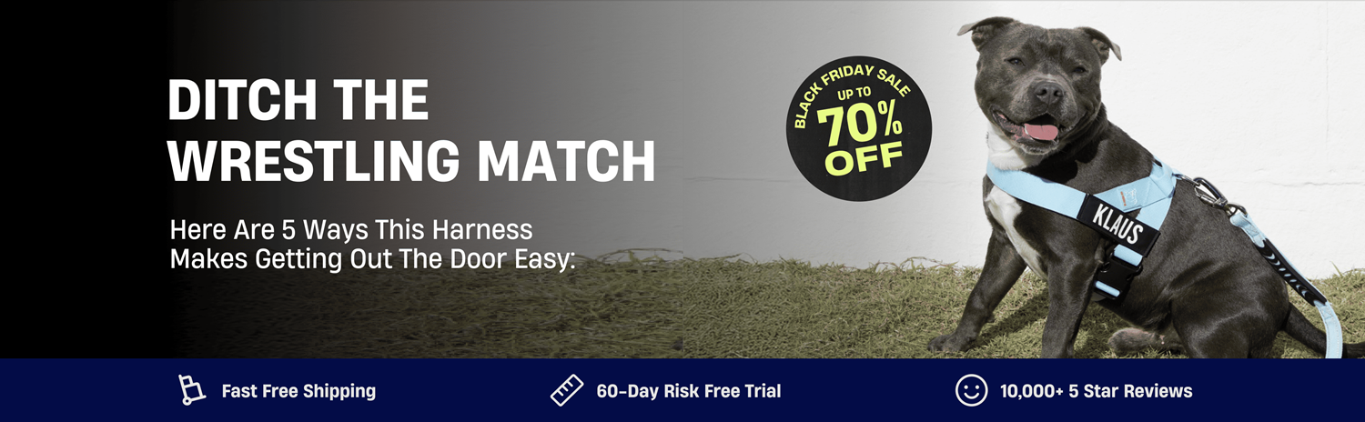 Dog wearing a blue harness, text promoting a Black Friday sale up to 70% off.