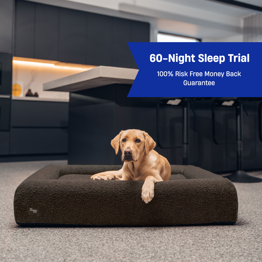 A dog lying on a brown dog bed in a modern kitchen.