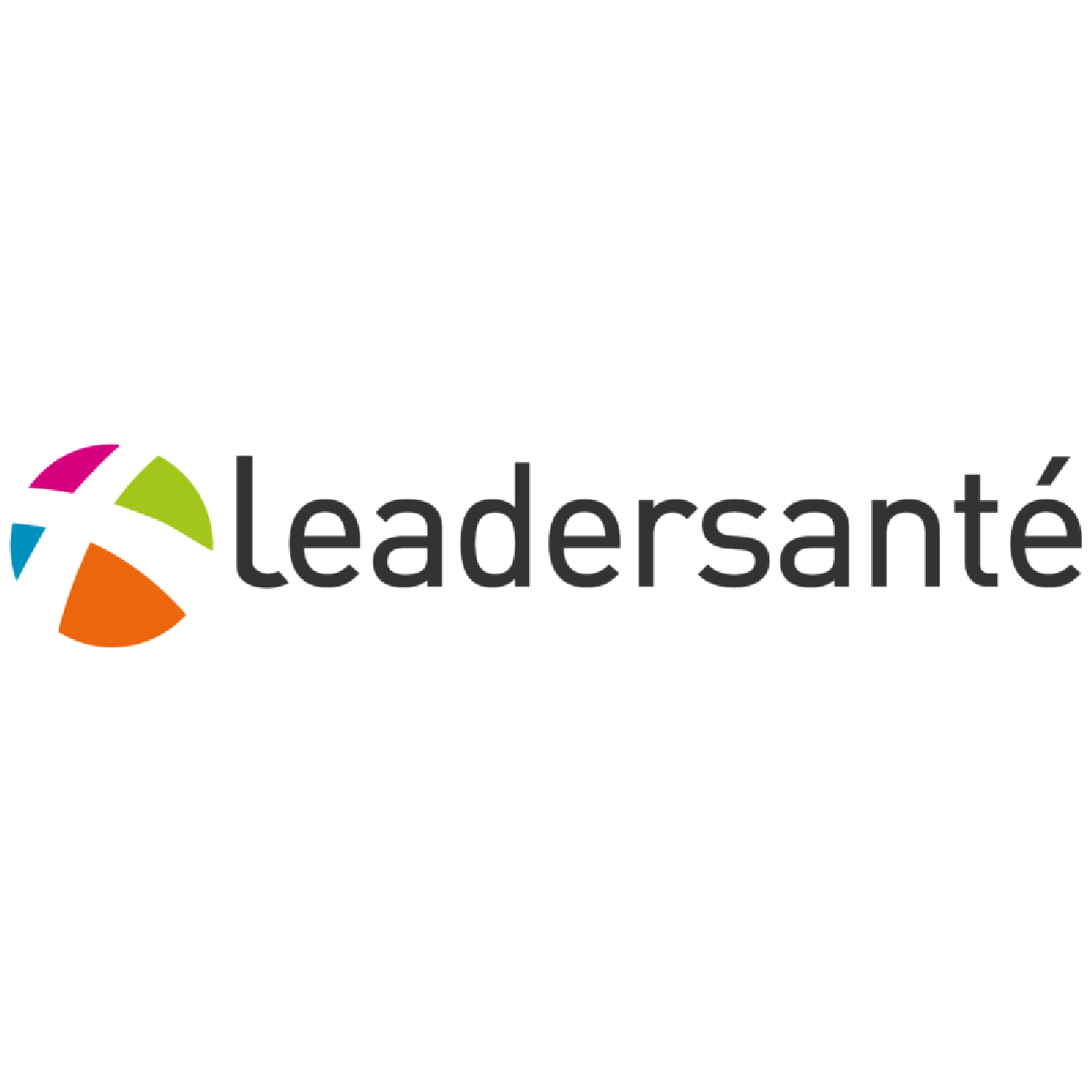 The Leadersanté logo, featuring a colorful segmented circle next to the company name in grey text.