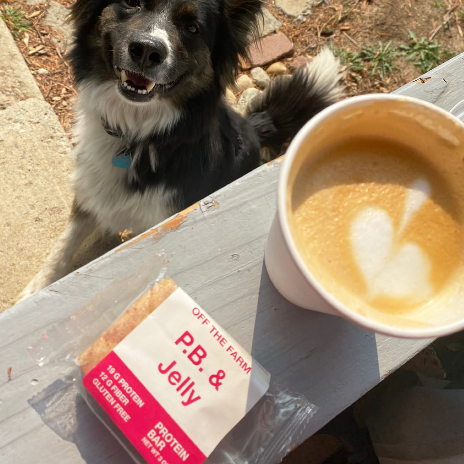 Dog beside a latte with heart foam and a PB & Jelly protein bar.