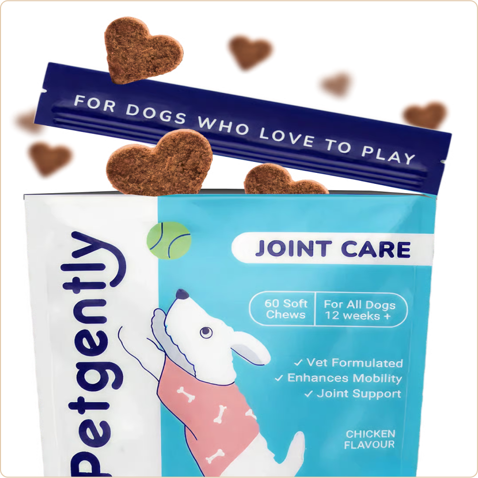 Dog joint care chews packaging with heart-shaped treats and playful dog illustration.