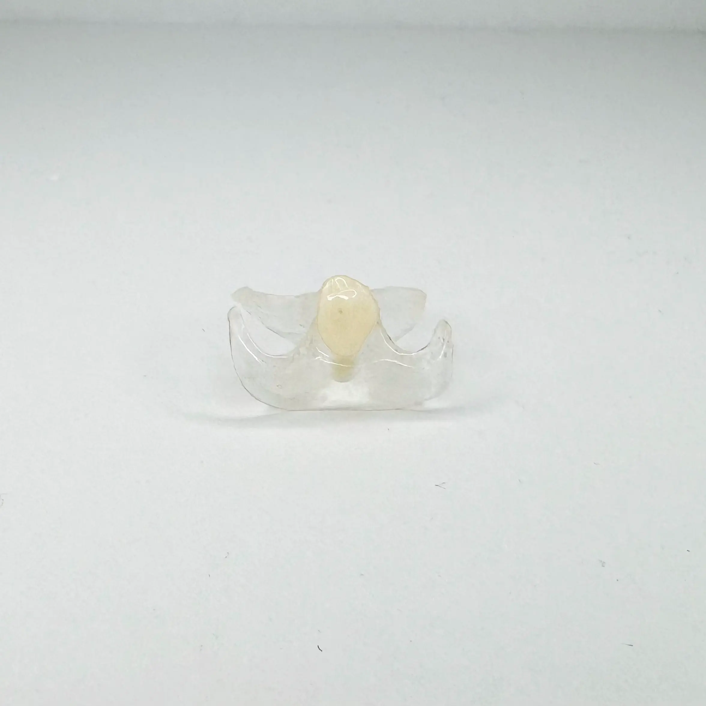 Transparent dental retainer with a single tooth on a white background.