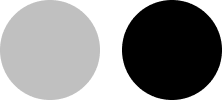 Gray circle on a white background, resembling a placeholder image.