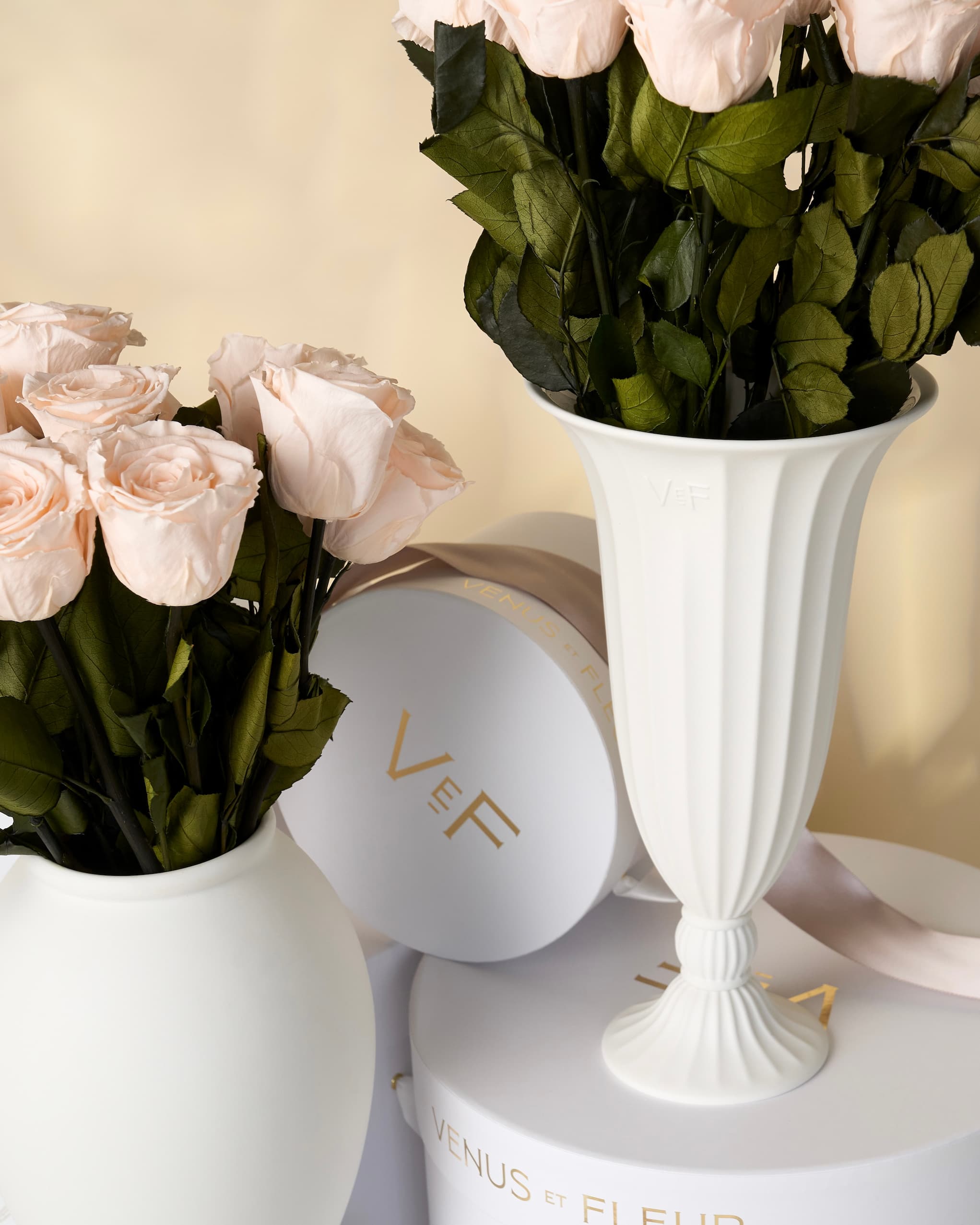 Two white vases filled with pale pink roses are displayed with branded white and gold gift boxes.