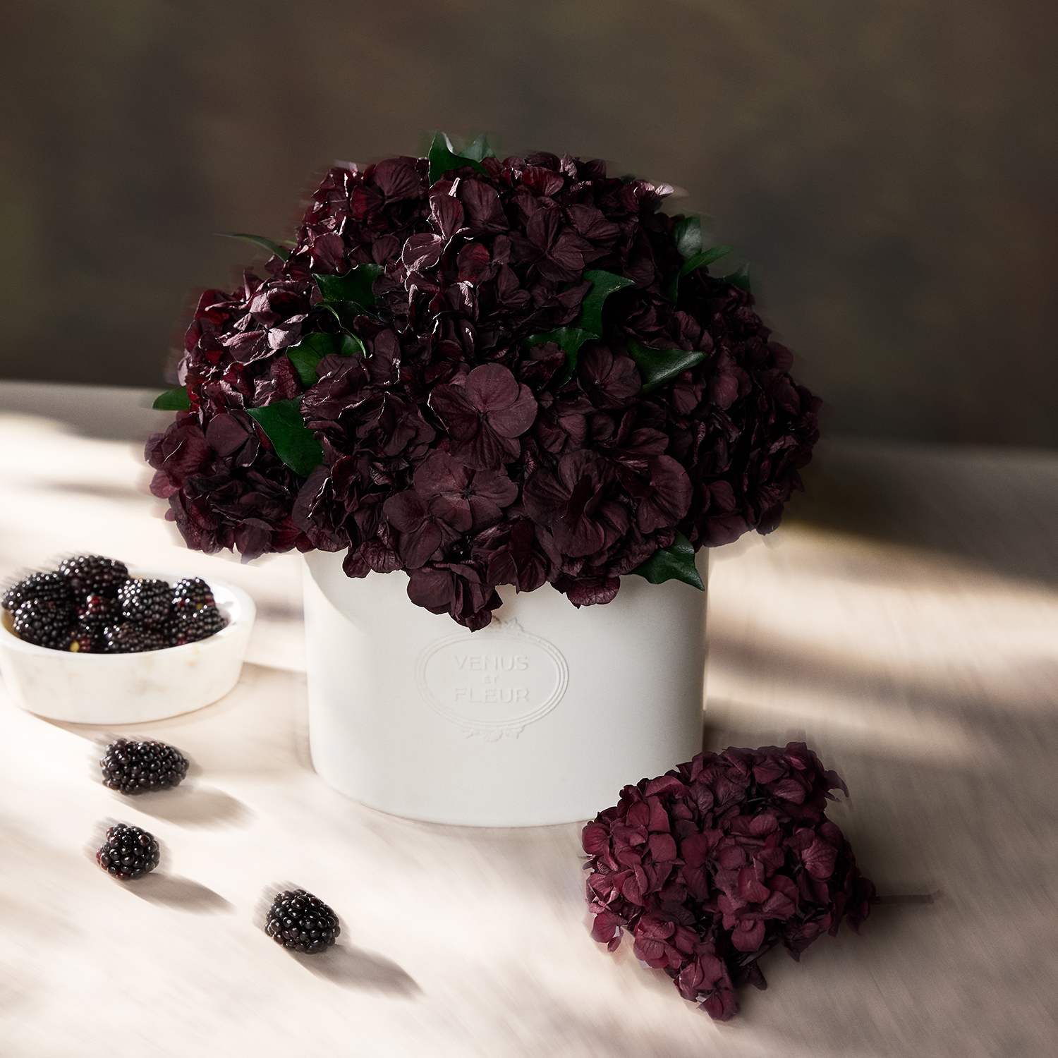 Dark purple flowers in a white vase, with blackberries beside it.
