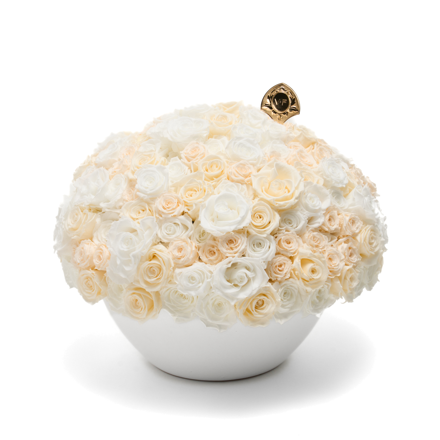 A bouquet of deep red flowers in a white vase.