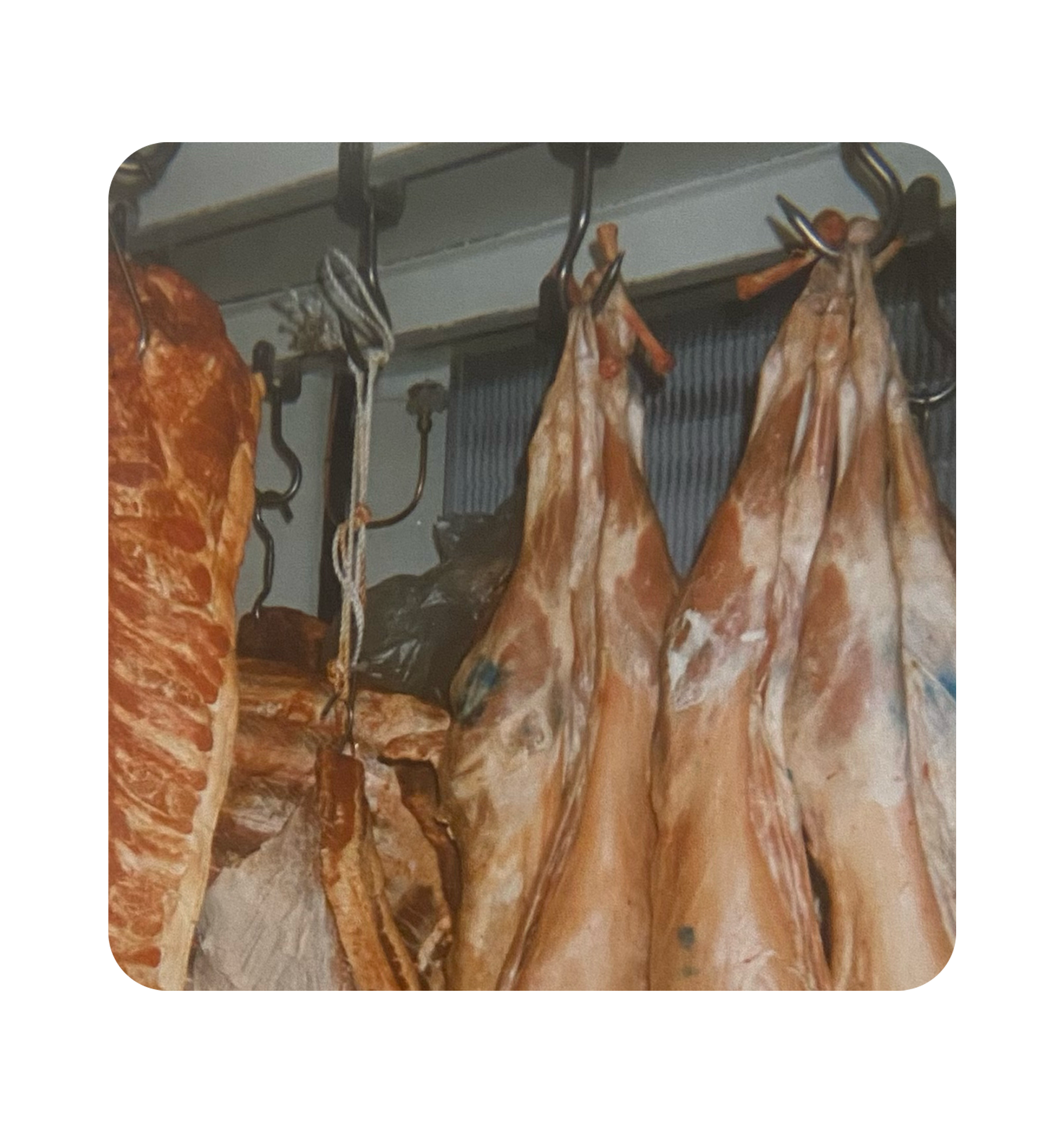 Various cuts of meat hanging on hooks in a refrigerated area.