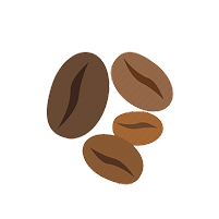 Illustration of five coffee beans on a white background.