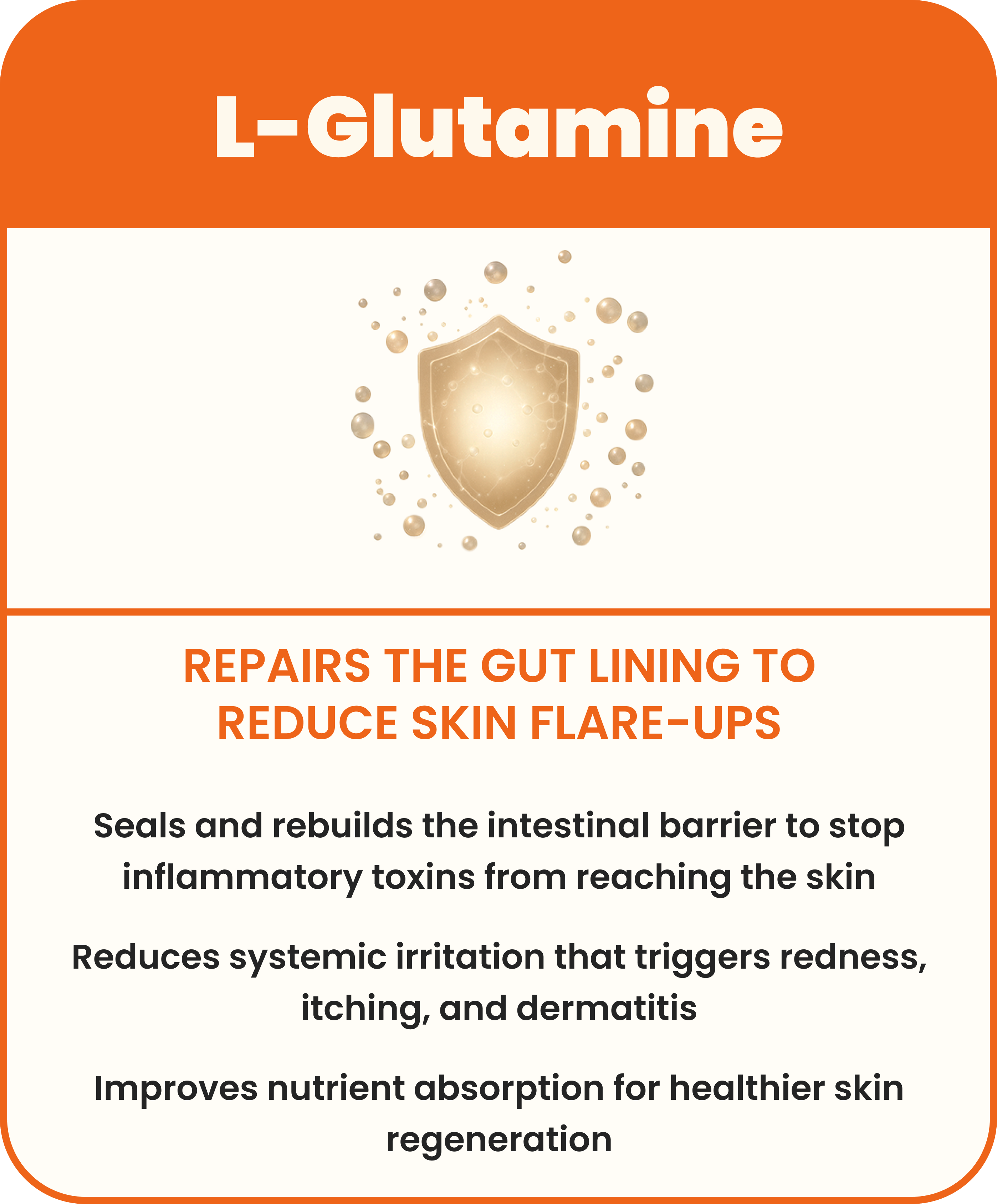 Infographic about L-Glutamine benefits for gut lining and skin health, with a shield graphic.