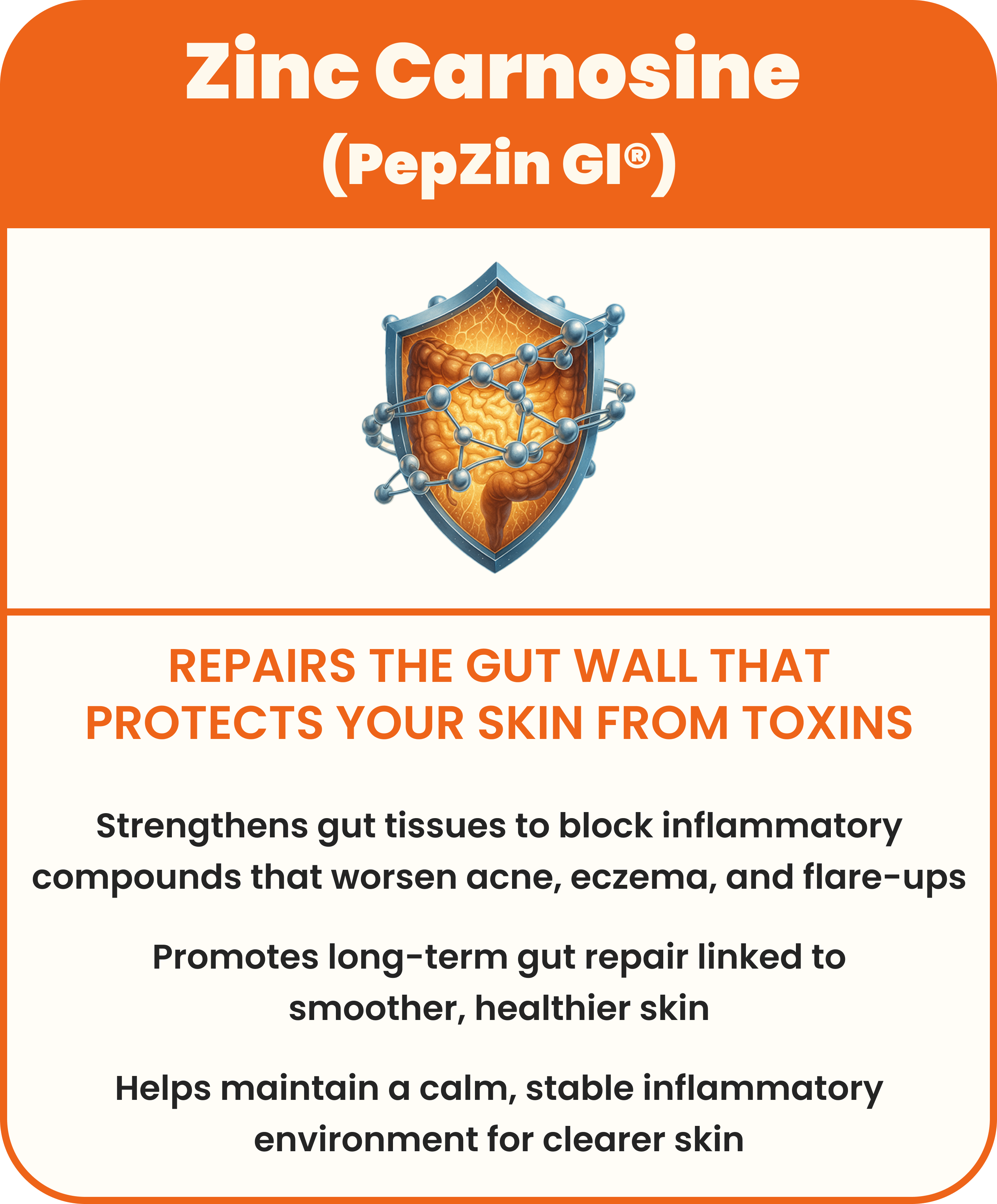 Shield with molecules, text about Zinc Carnosine benefits for gut and skin health.