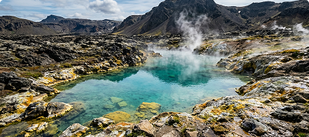 Sulfur Spring Extract