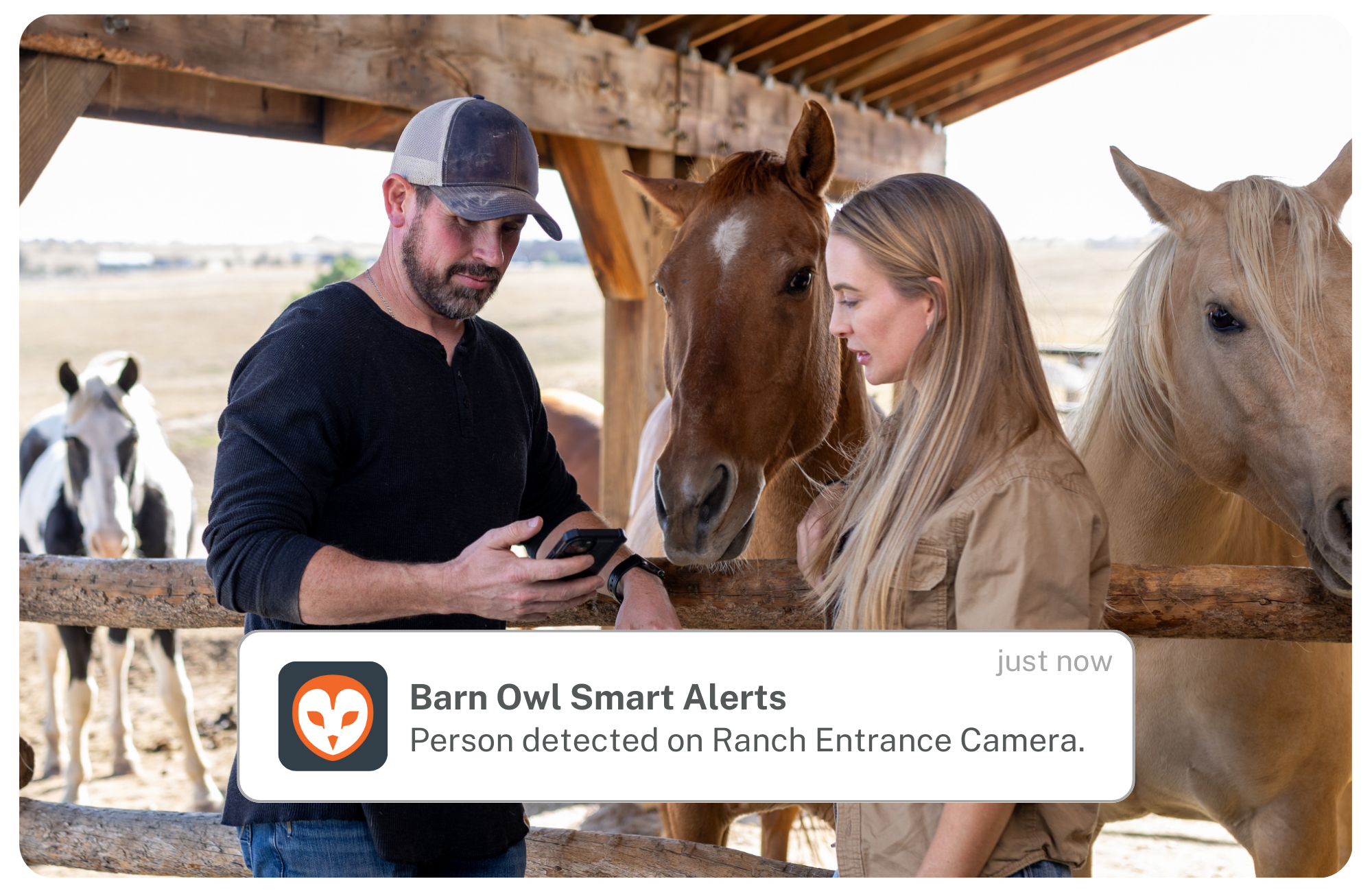 Two people with horses in a barn, checking a phone alert.