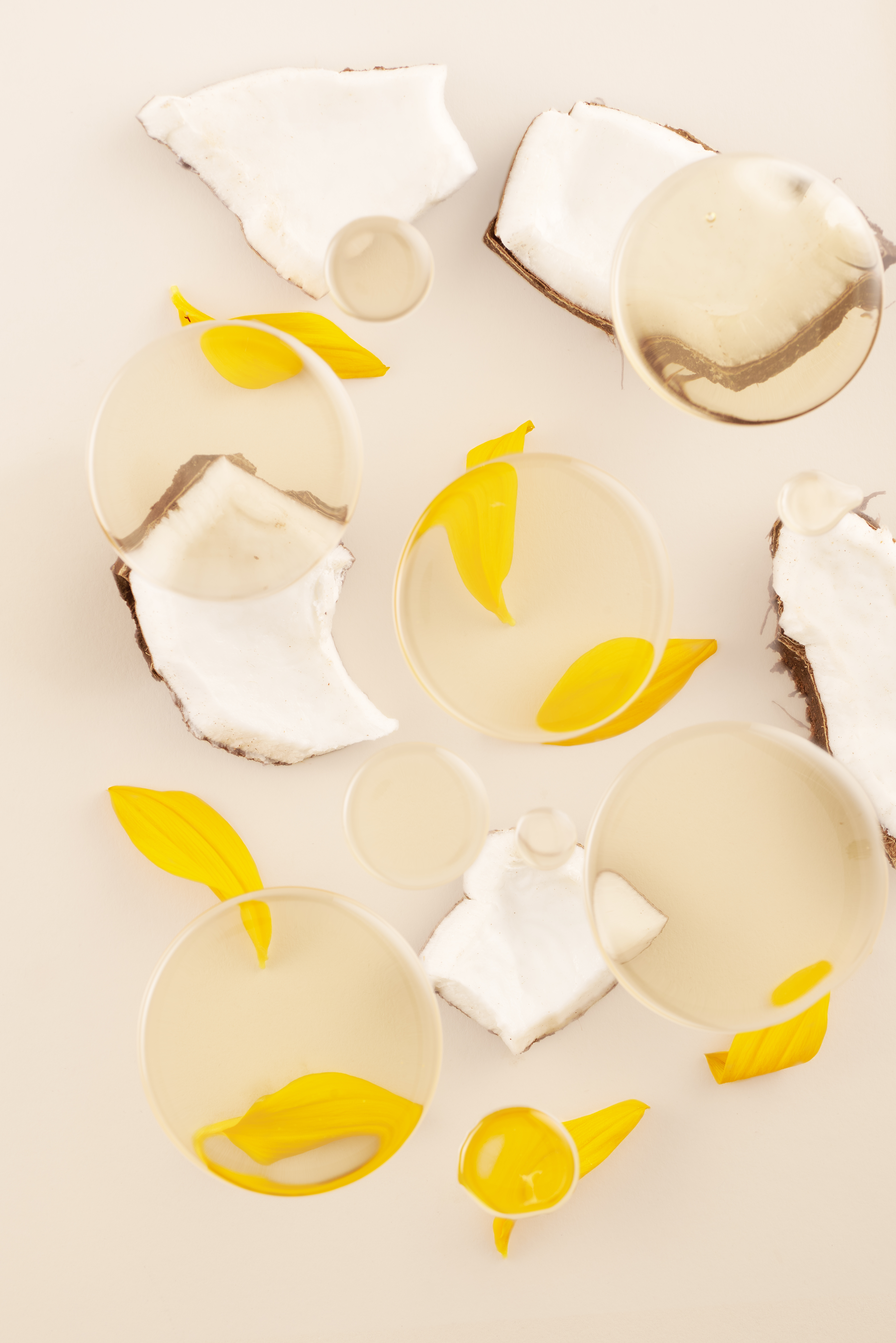 Coconut pieces, yellow petals, and glass circles on a beige background.