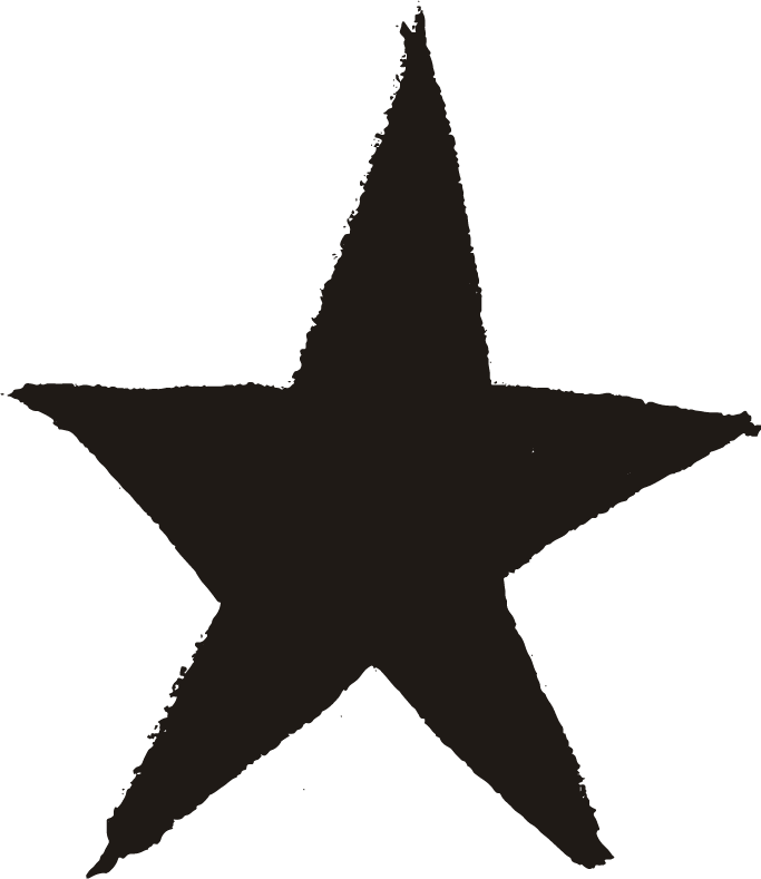 Black, rough-edged star on a white background.