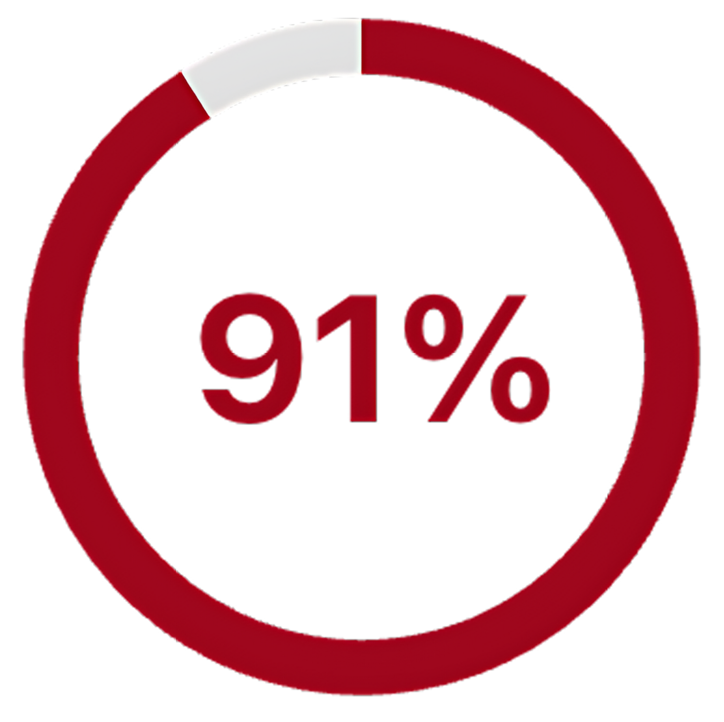 Red circle graph showing 91% completion.