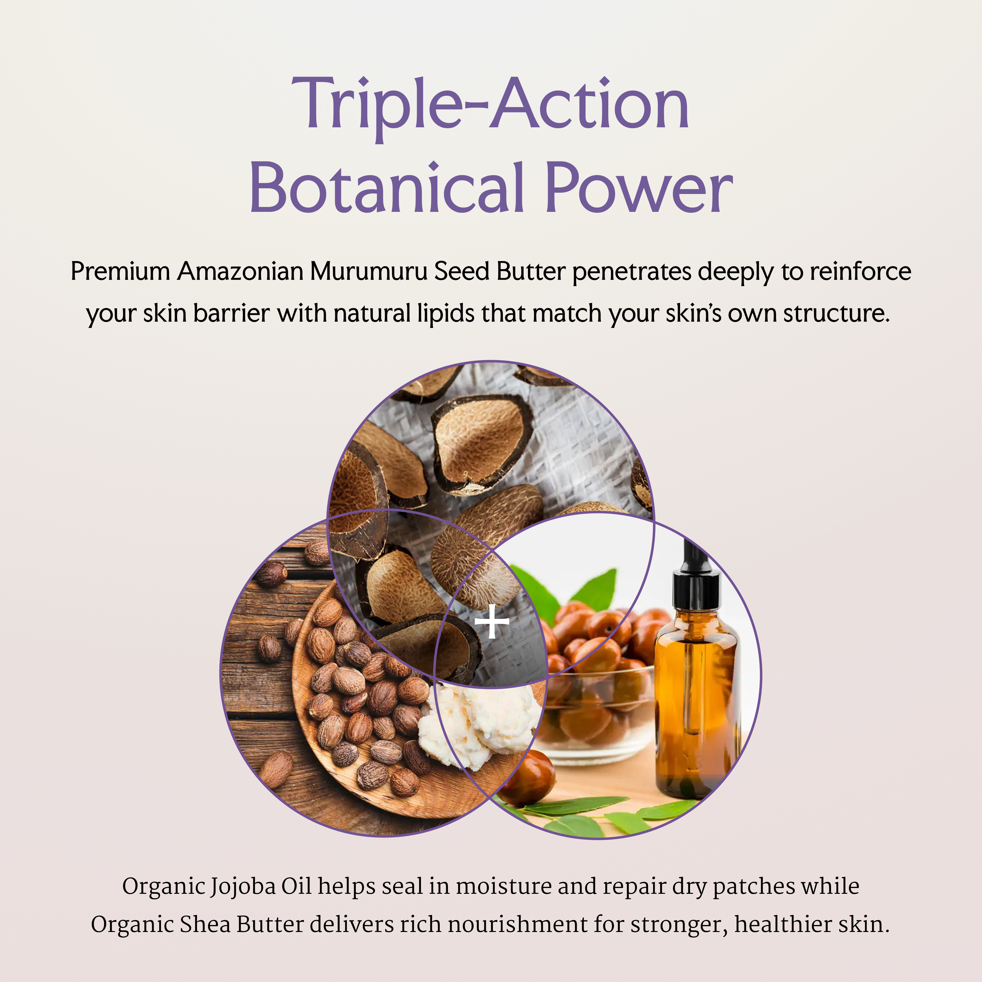 Collage of seeds, oil bottle, and text about botanical skincare benefits.