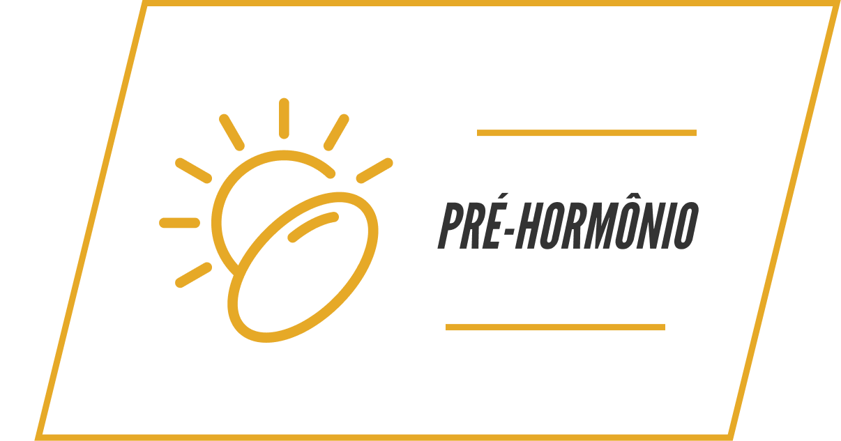 An icon of a sun and two pills next to the text 'PRÉ-HORMÔNIO' inside a yellow frame.