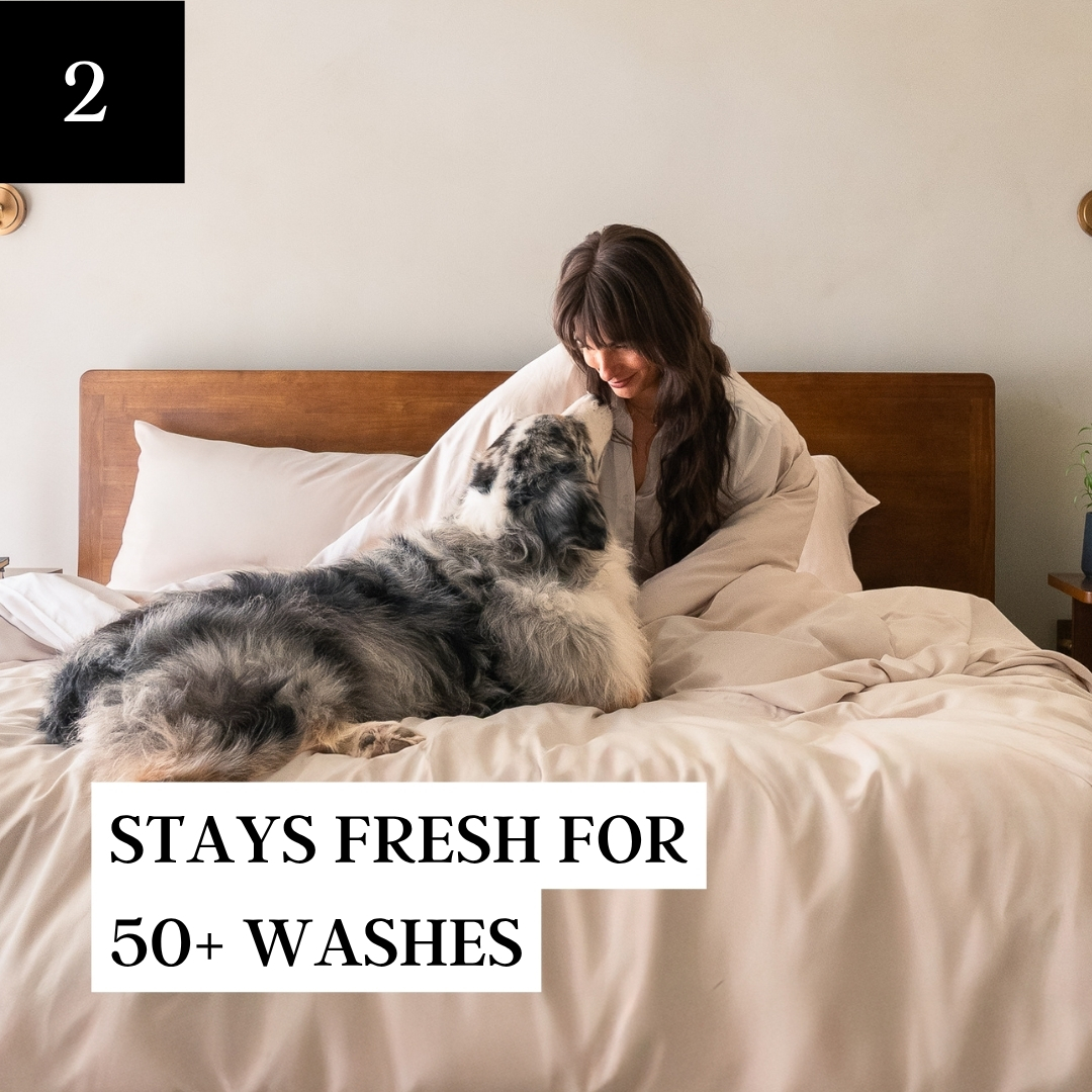 A tan French bulldog sits on a bed with rumpled light grey sheets and pillows.