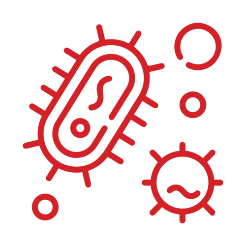 Red outline of bacteria and virus shapes on a transparent background.