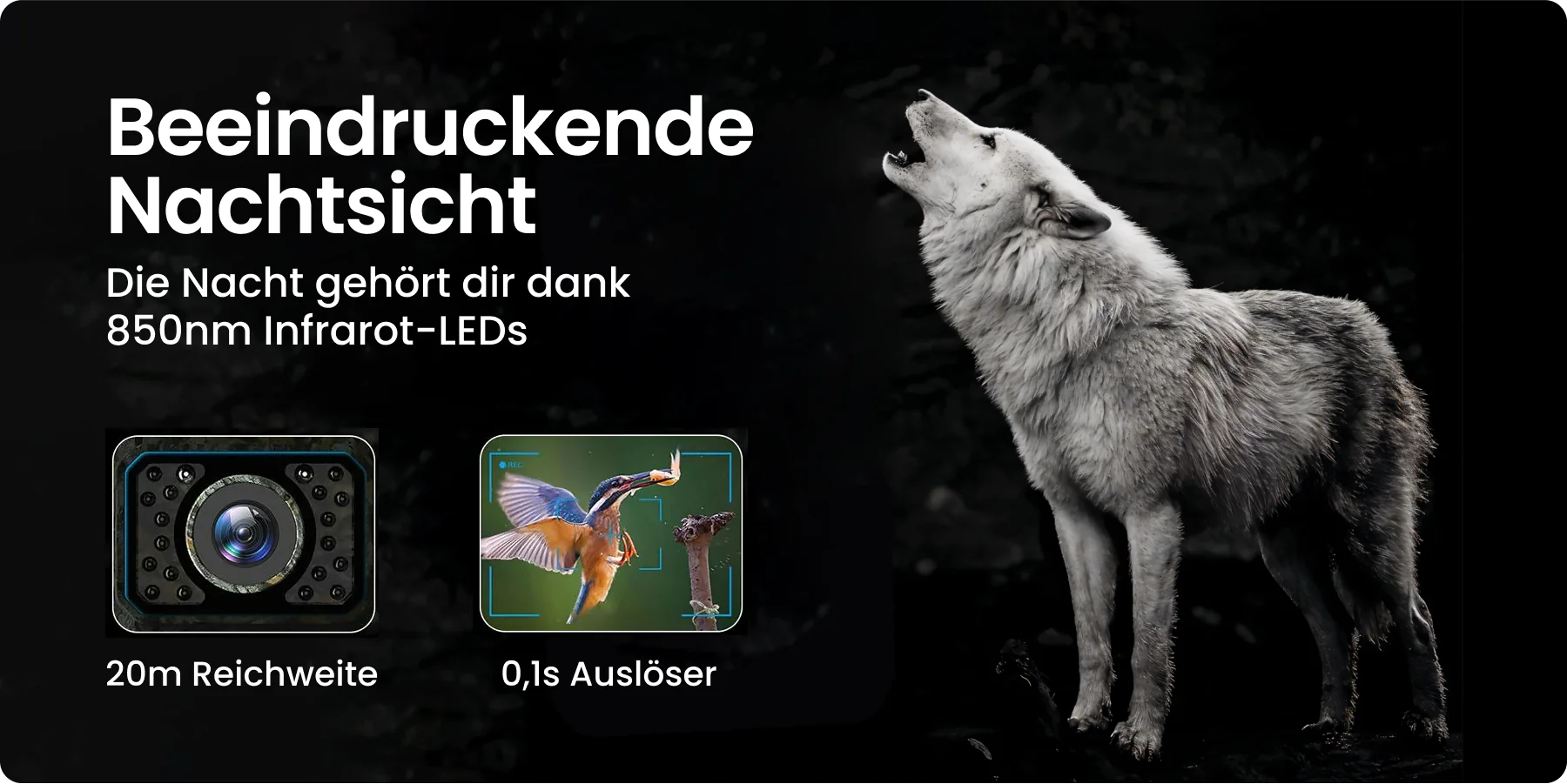 Wolf howling with text about night vision and infrared LEDs.