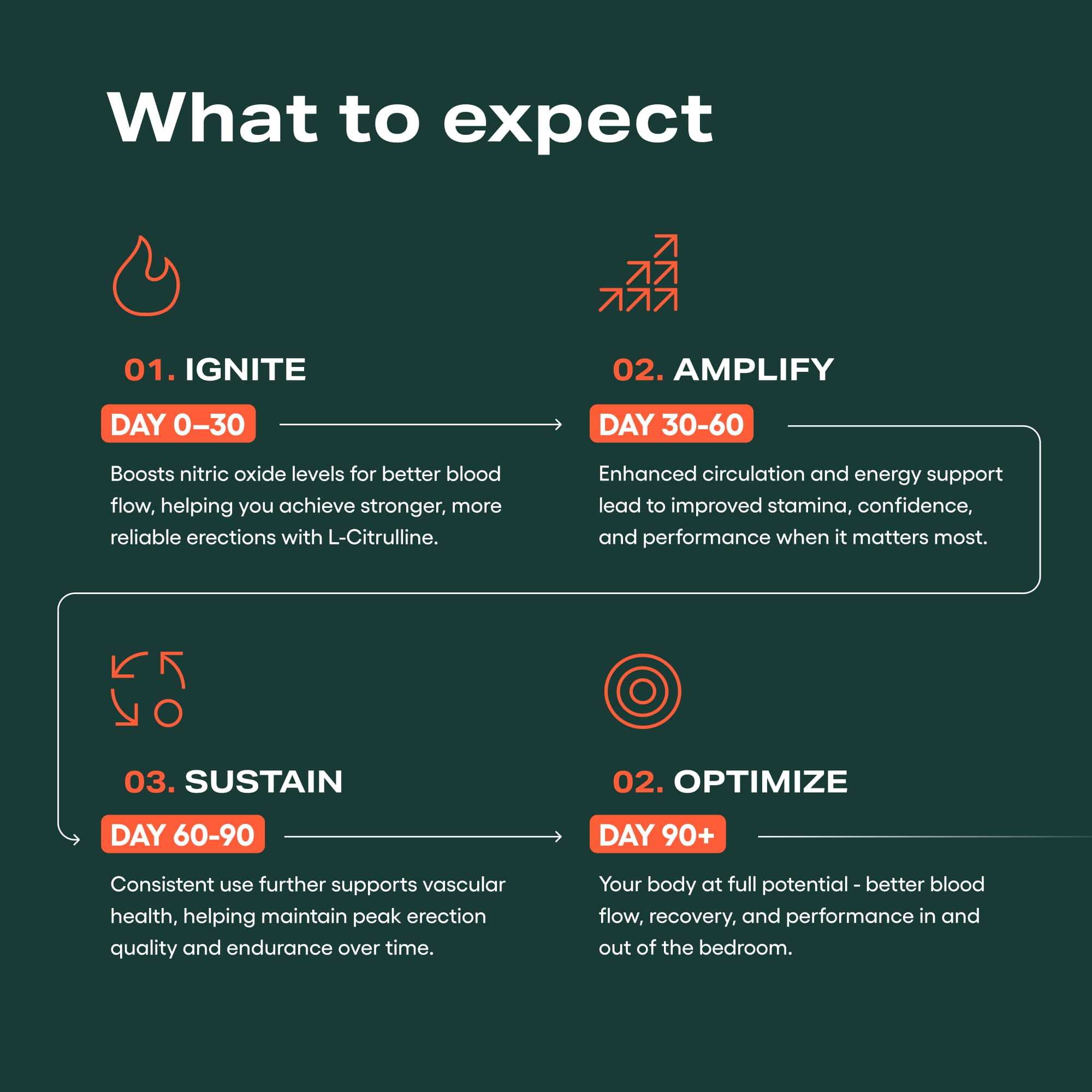 Flowchart titled 'What to expect' with stages Ignite, Amplify, Sustain, Optimize.