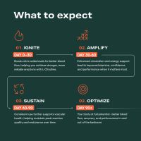 Infographic titled 'What to expect' with stages: Ignite, Amplify, Sustain, Optimize.