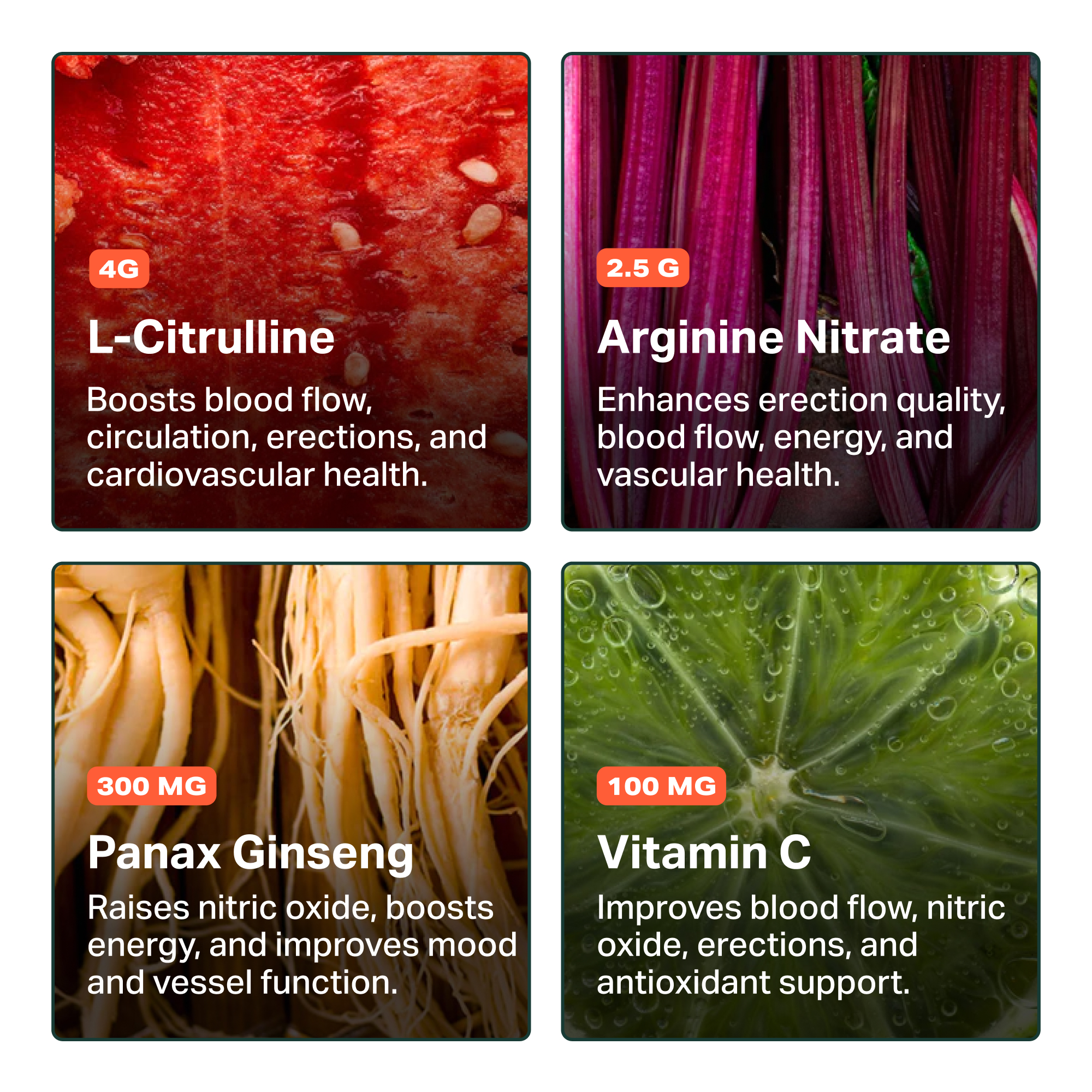 An infographic showing four ingredients—L-Citrulline, Arginine Nitrate, Panax Ginseng, Vitamin C—and their health benefits.