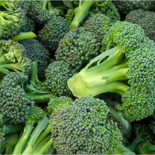 Fresh green broccoli florets piled together.