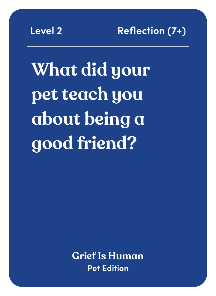 Blue card asking about lessons from pets on friendship.
