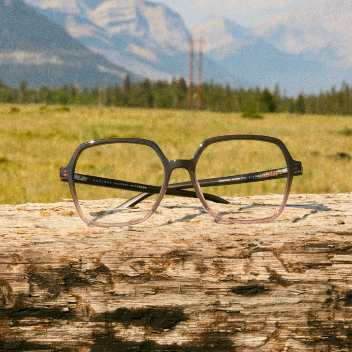 Eyeglasses resting on a wooden log with mountains in the background.