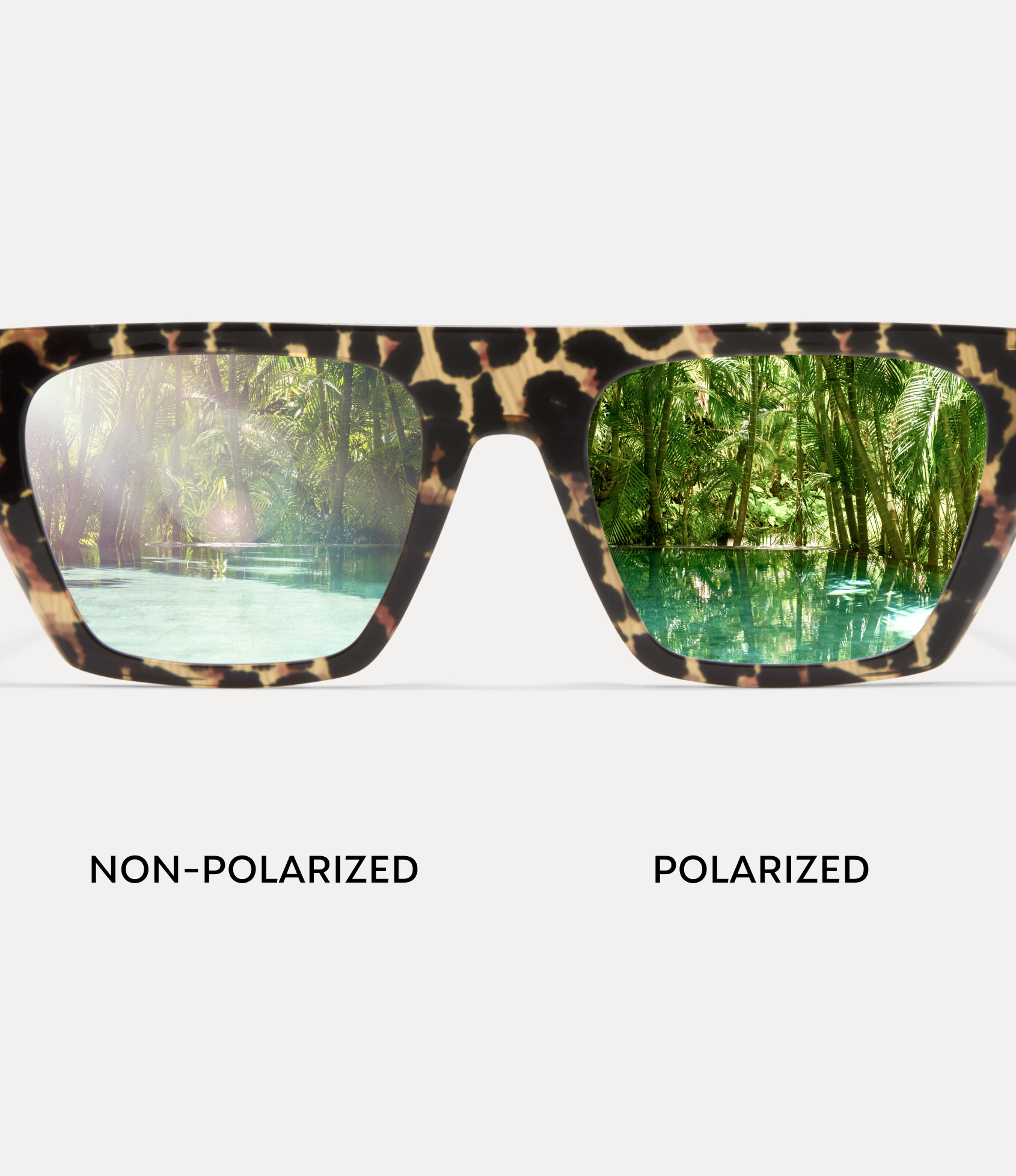 A split-view comparison showing a tropical scene through non-polarized versus polarized sunglass lenses, highlighting glare reduction.