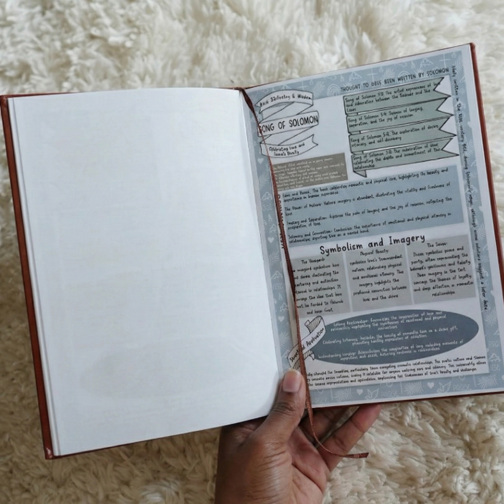 A hand holding open a book with illustrated notes on the Song of Solomon, against a fluffy white background.