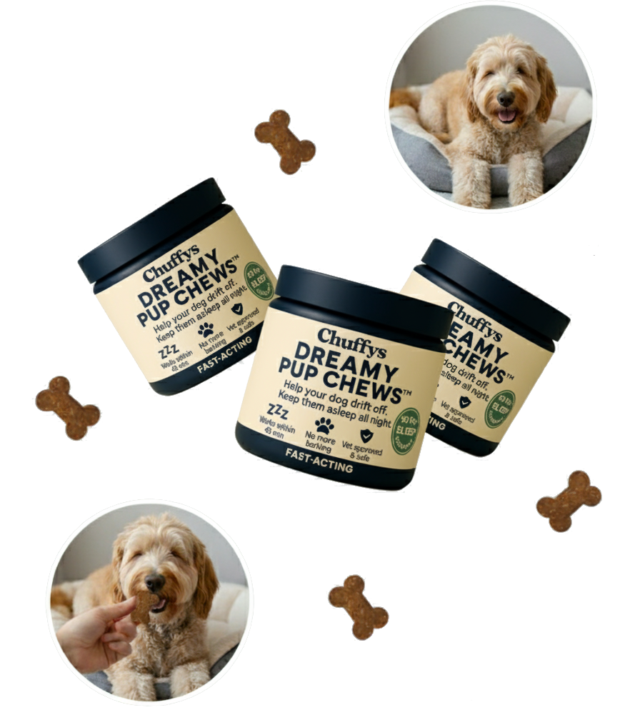 Jars of dog chews and a dog receiving a treat surrounded by bone shapes.