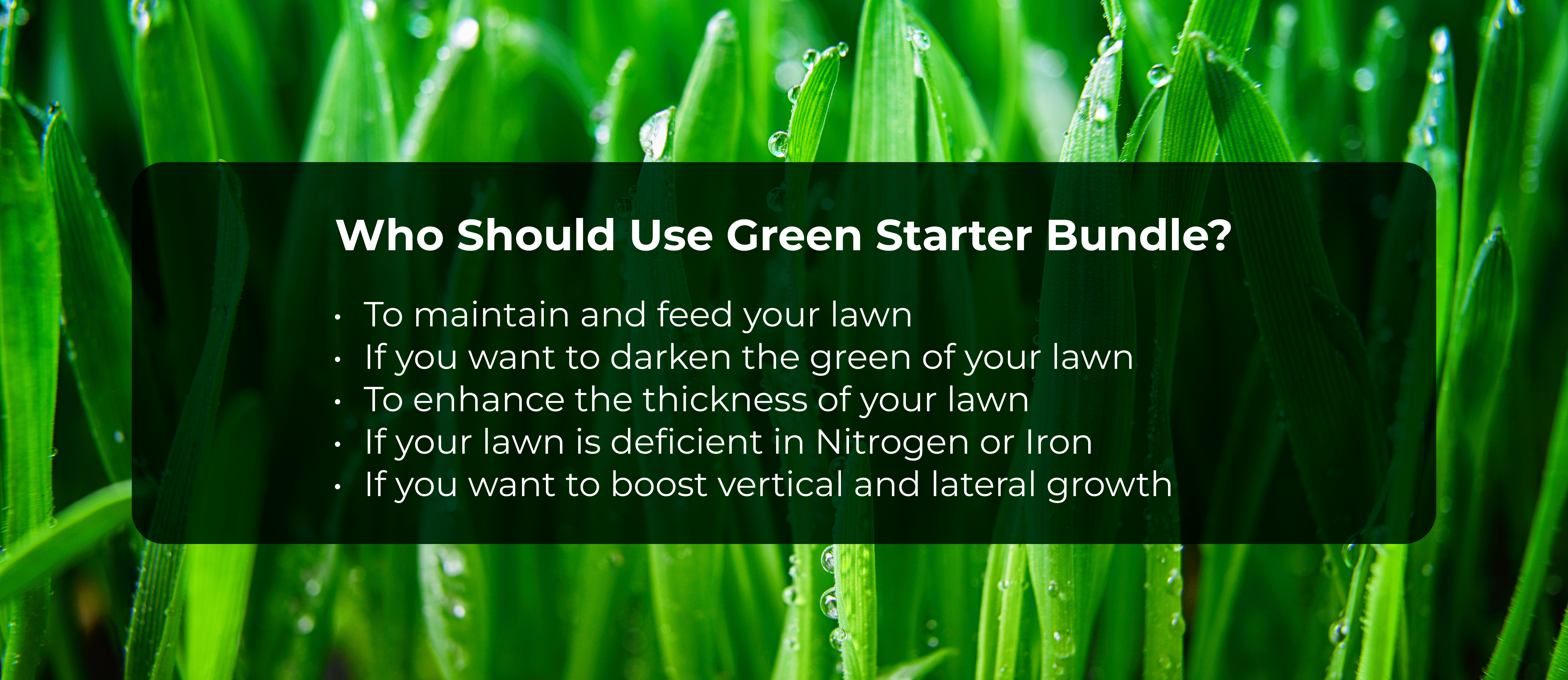 Text about lawn care on a background of green grass with water droplets.