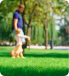Blurred image of a person and child walking on grass in a park.