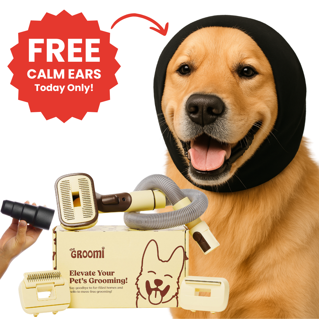Dog wearing a black hood with grooming tools and a promotional offer.