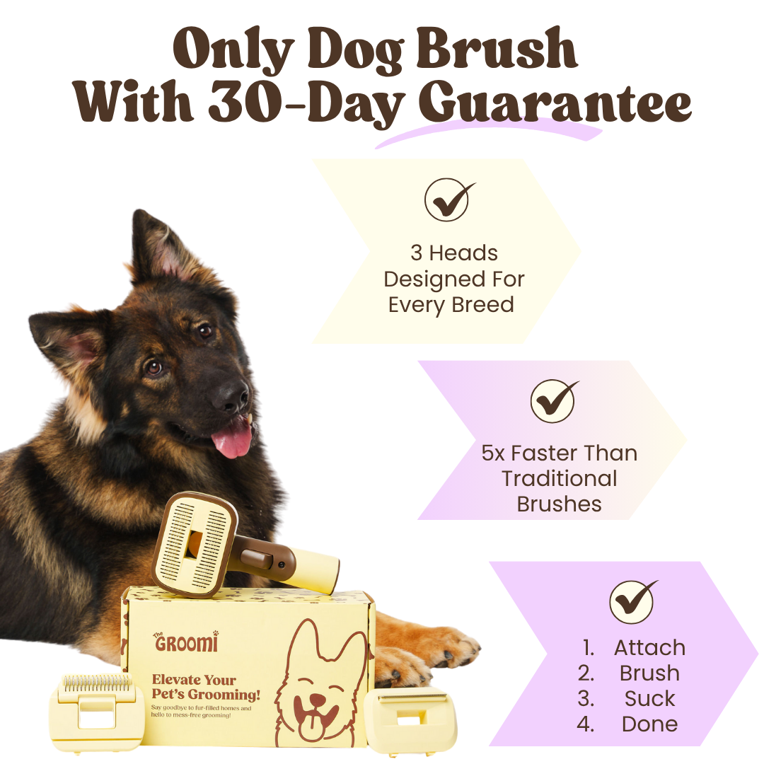 Dog with grooming brushes and product features highlighted.