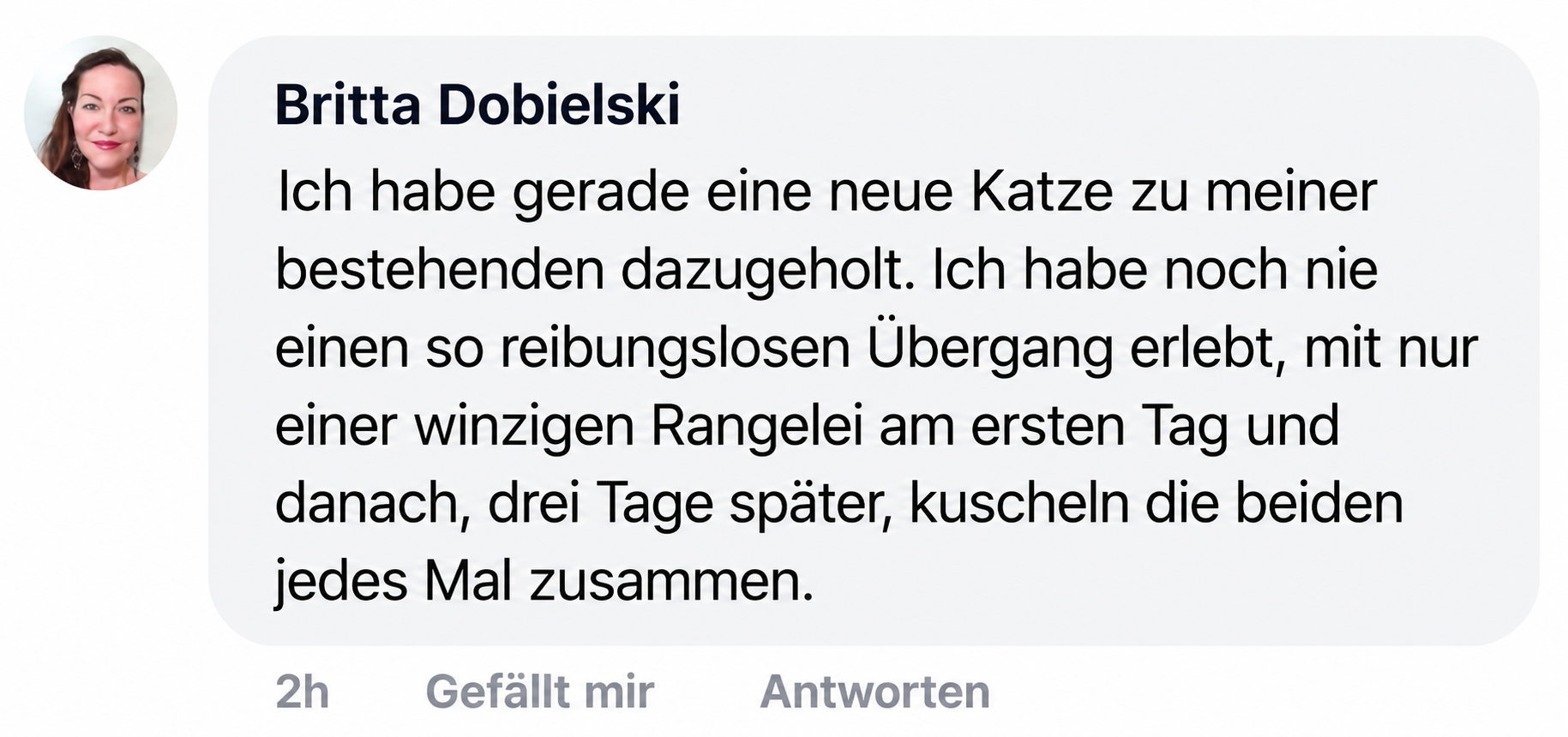 A screenshot of a comment in German by Britta Dobielski, with her profile picture on the left.