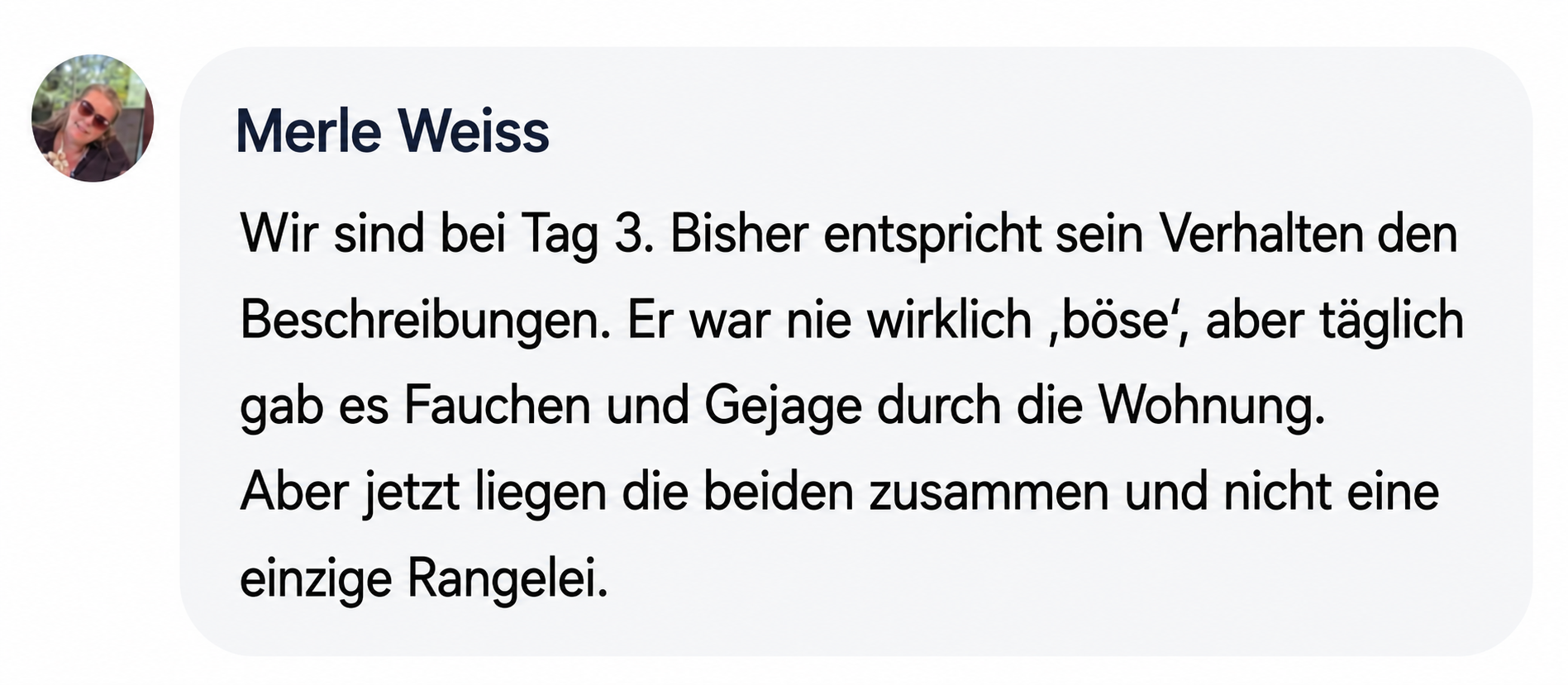 A testimonial from Merle Weiss, with her profile picture, written in German.