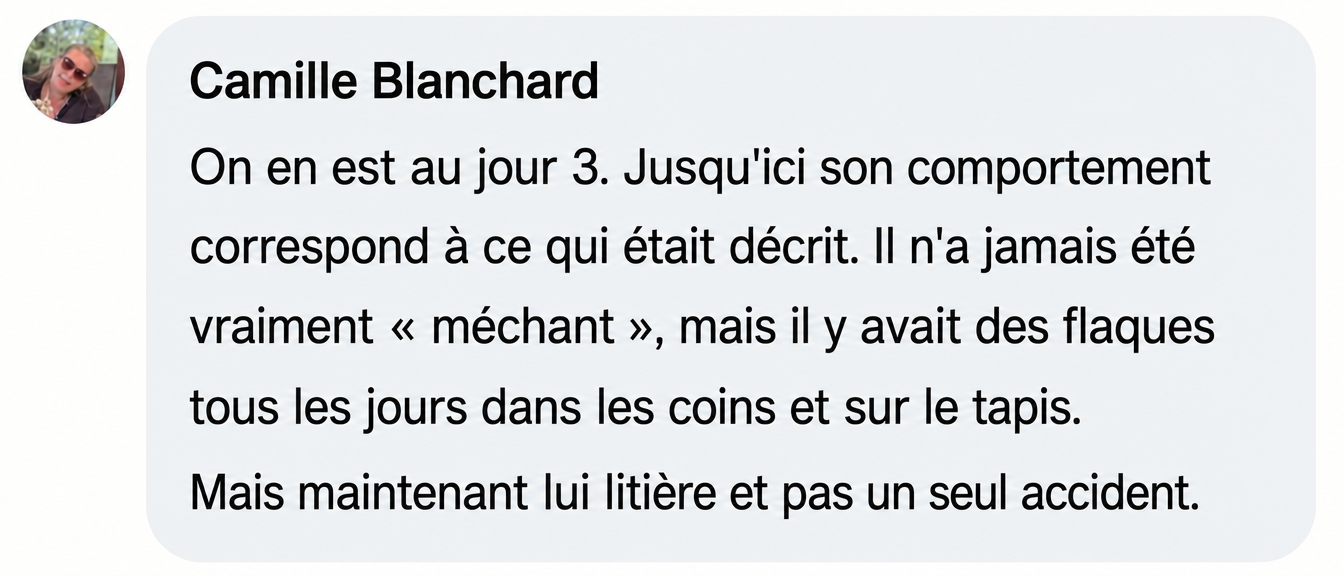 A screenshot of a testimonial in French from a customer named Camille Blanchard.