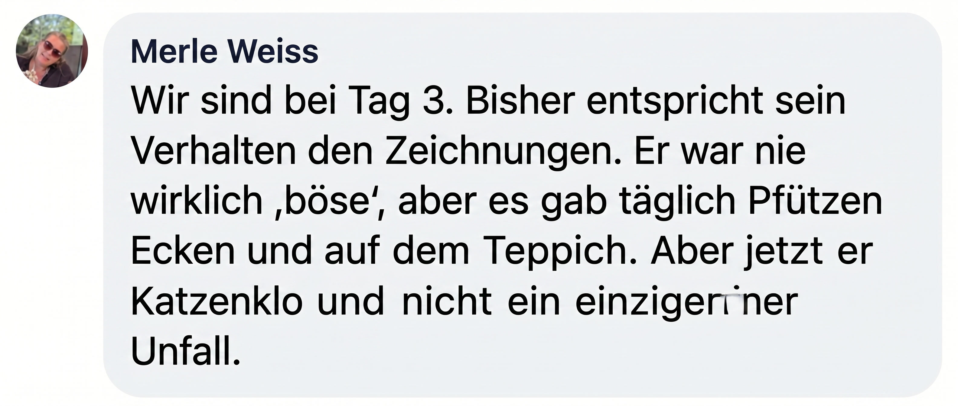 A social media comment from a user named Merle Weiss, written in German.